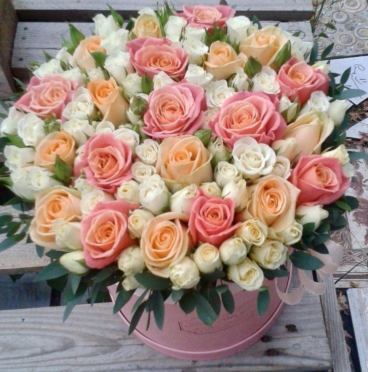 Serene Elegance: Blooms of Tranquility